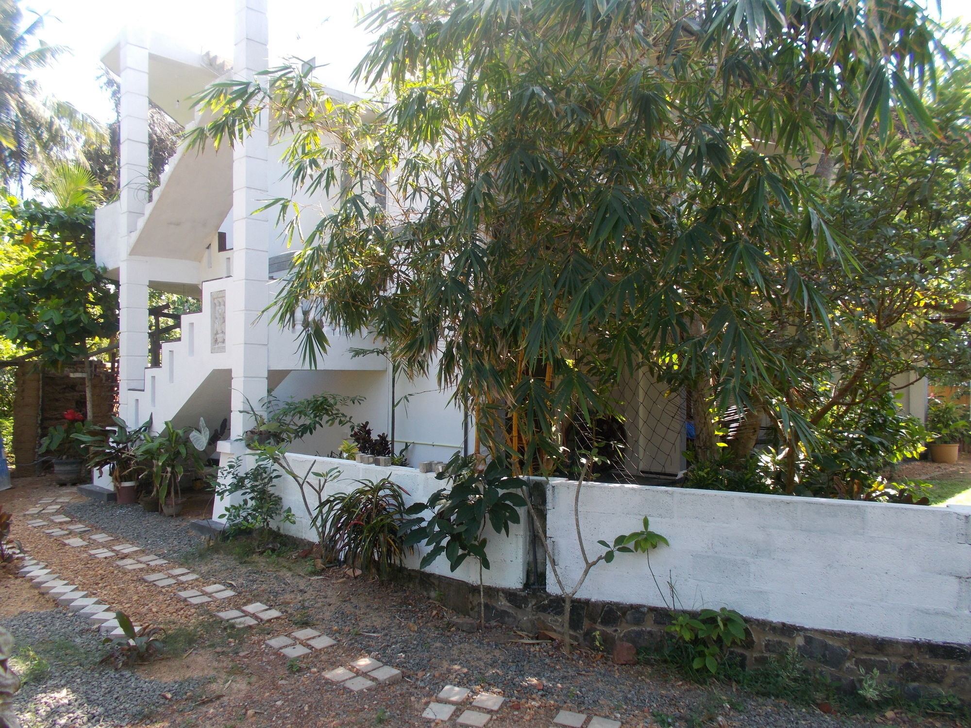 Peacock Wings Guest Hotel Mirissa Exterior foto
