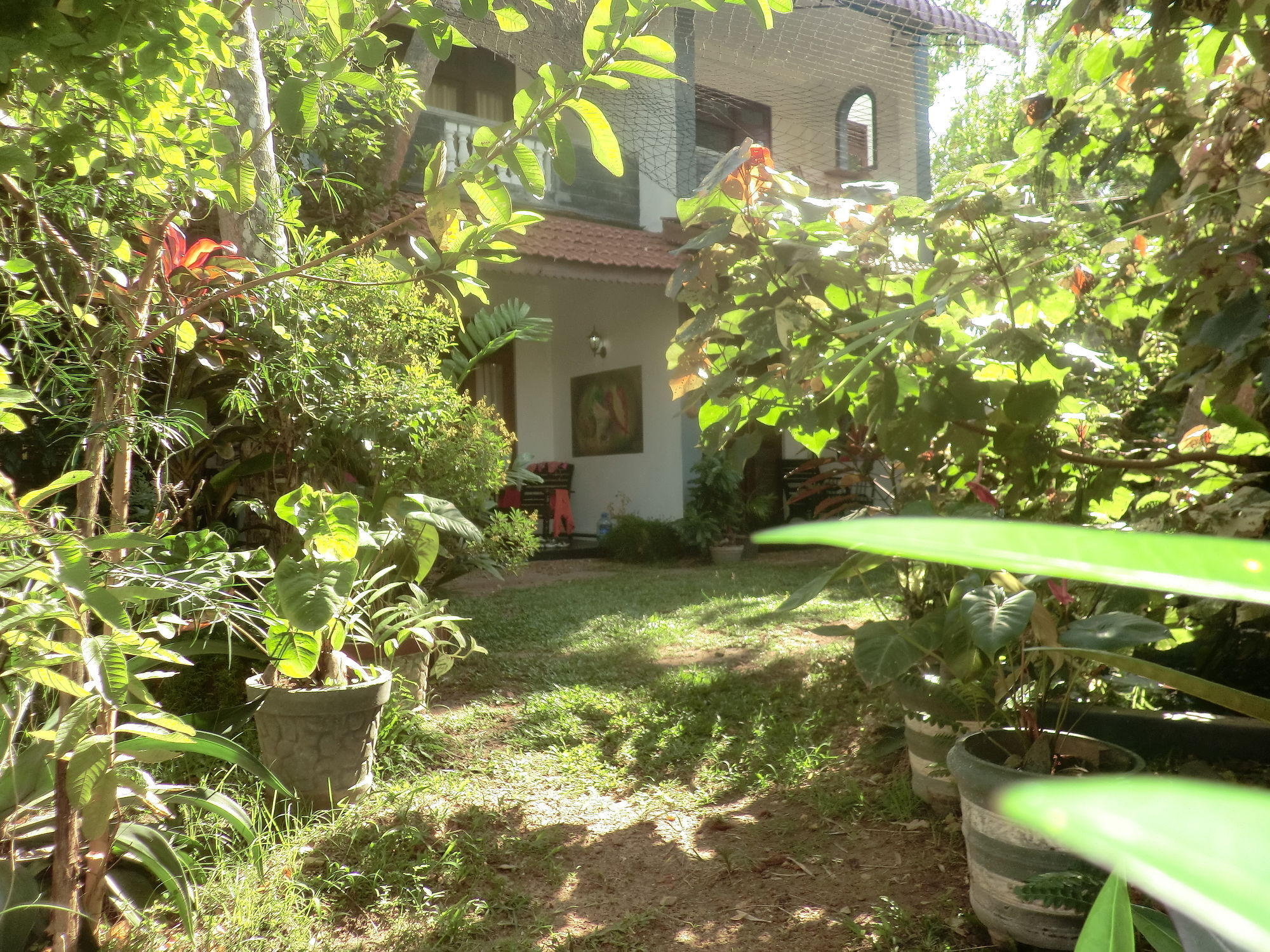 Peacock Wings Guest Hotel Mirissa Exterior foto