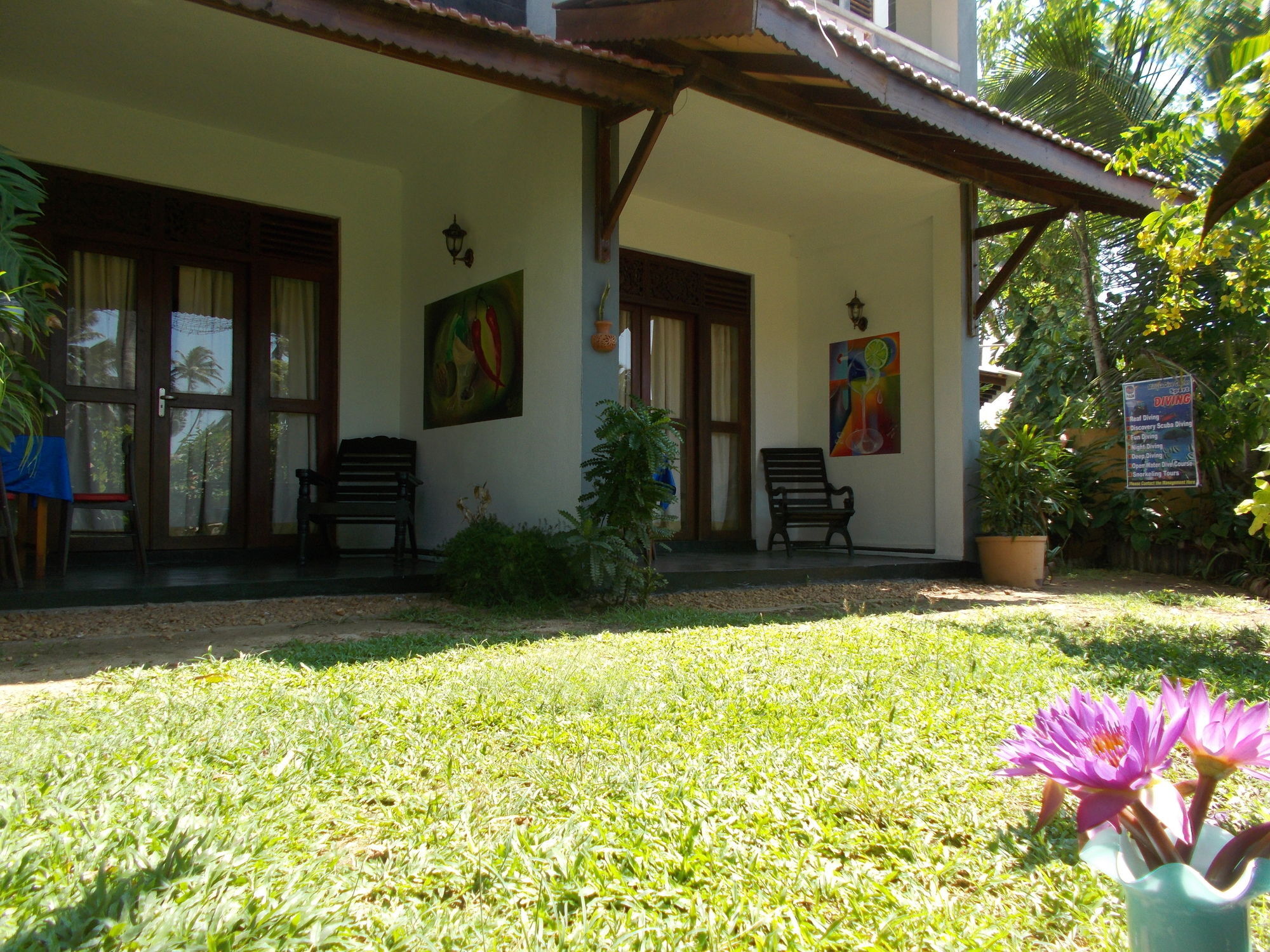 Peacock Wings Guest Hotel Mirissa Exterior foto
